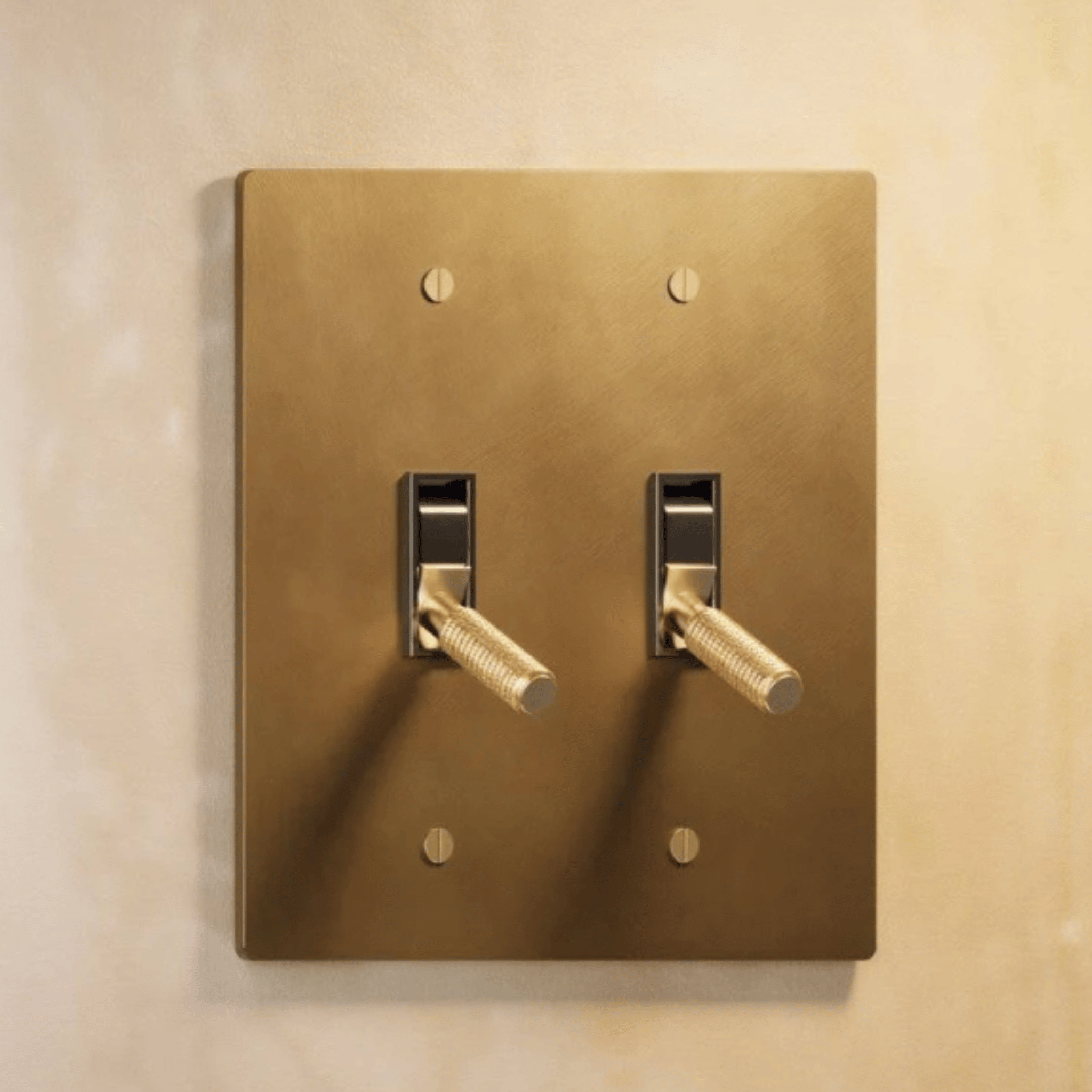 Decorative Brass Toggle Switch Panel | UL Certified, 2TOGGLE, Single-Pole Switches, Knappa
