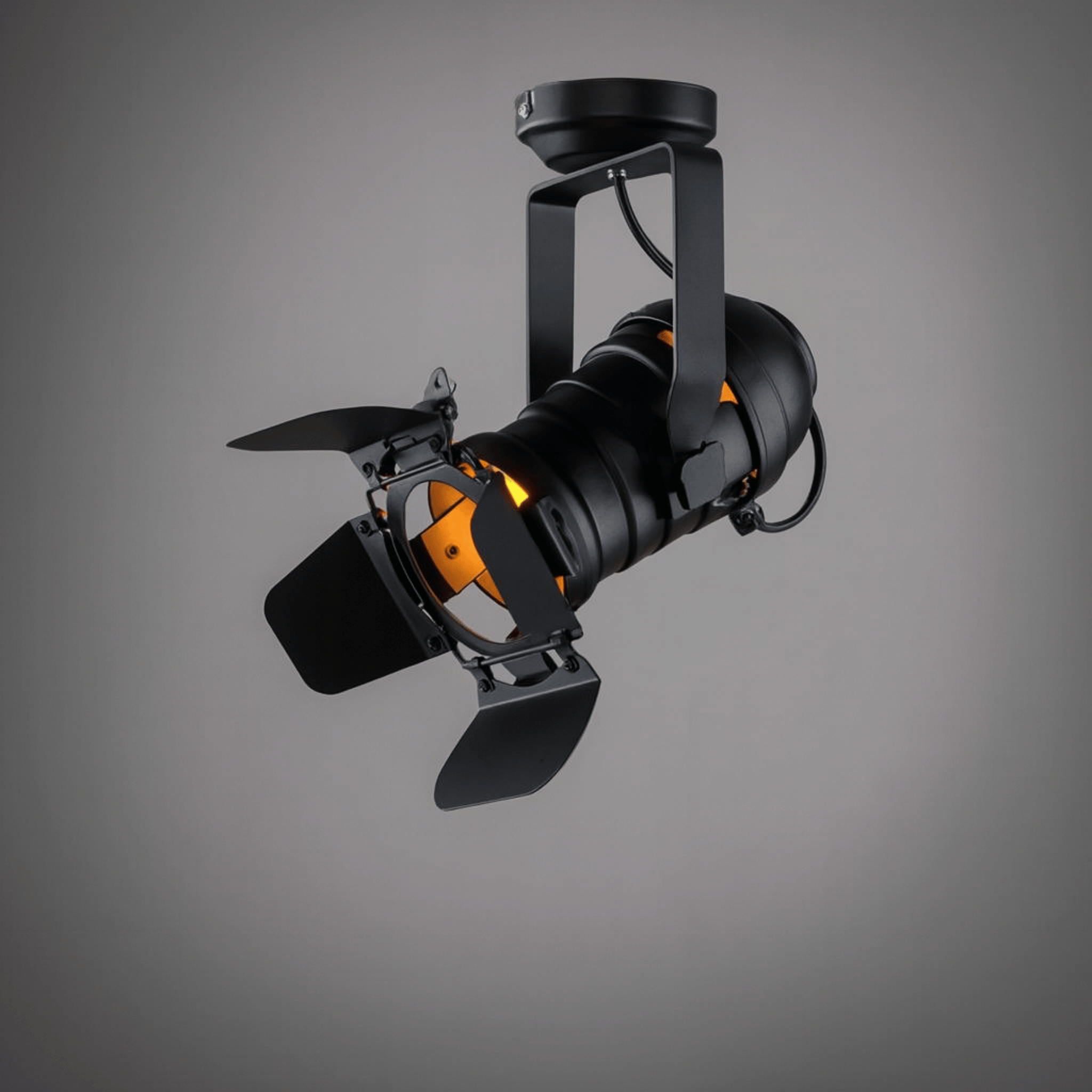 Skena Vintage Barn Door Ceiling Spotlight | Skonne, Light Fixtures, Iron