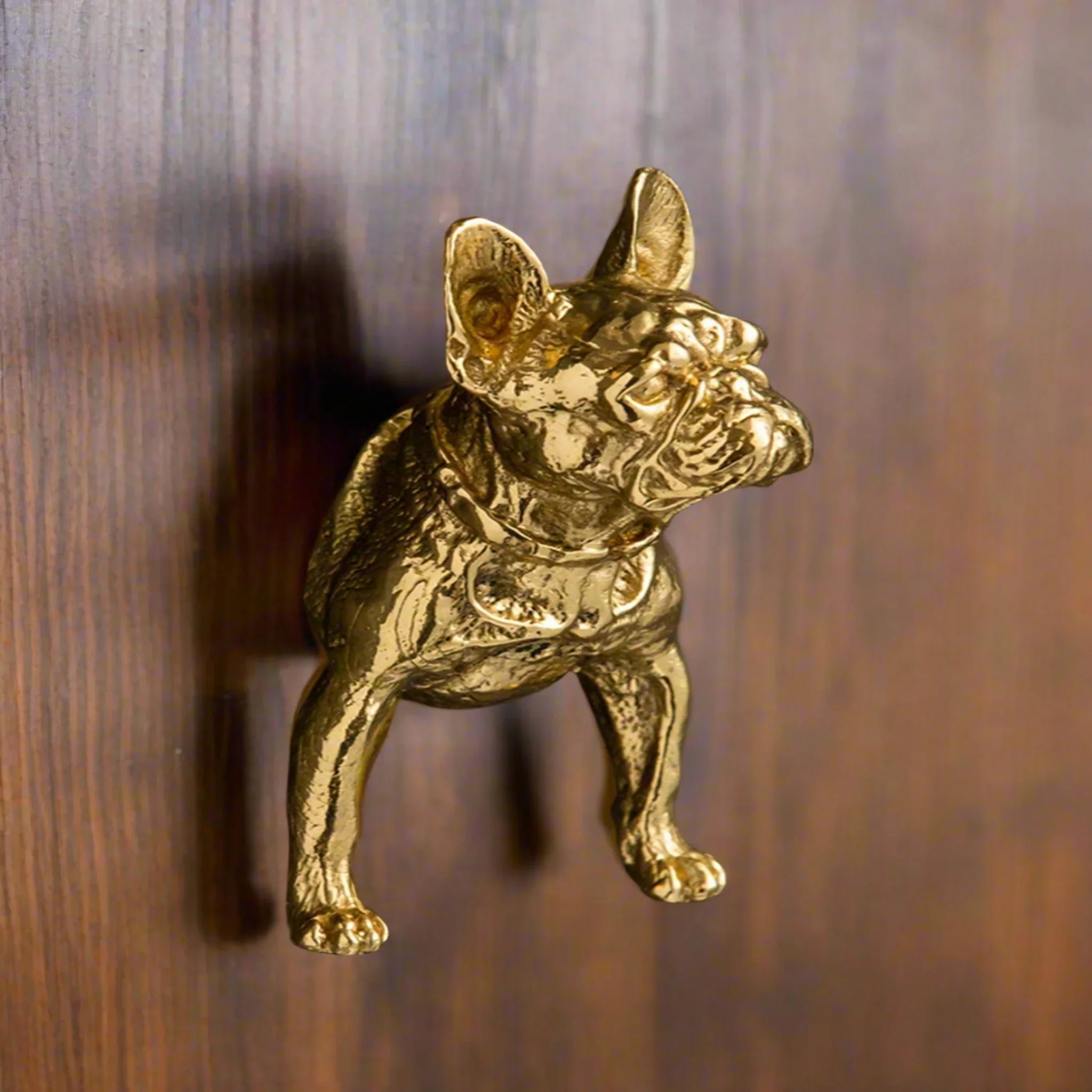Polished Brass Dog Drawer Pull Handle for Furniture, Cabinet Knobs & Handles, Tassa
