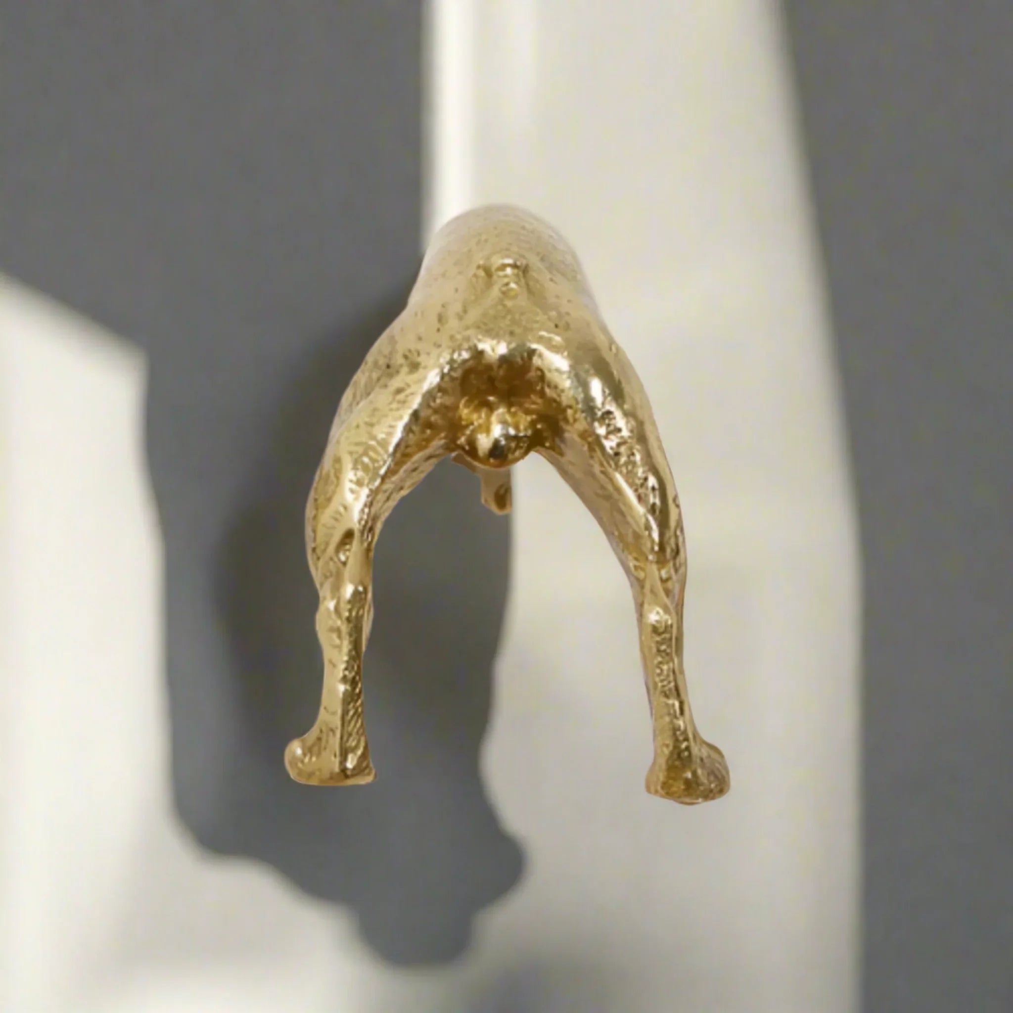 Polished Brass Dog Drawer Pull Handle for Furniture, Tail, Cabinet Knobs & Handles, Tassa