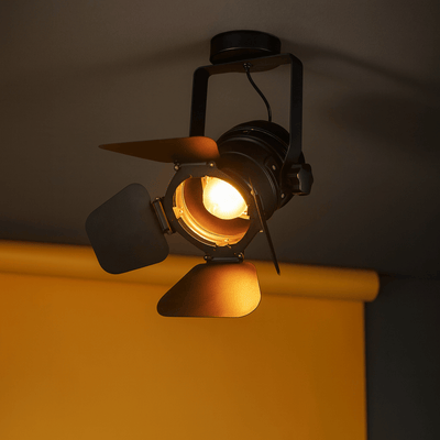 Translation missing: en.Skena Vintage Barn Door Ceiling Spotlight | Skonne, Small / Cool Light 6000K, Fixtures, Iron